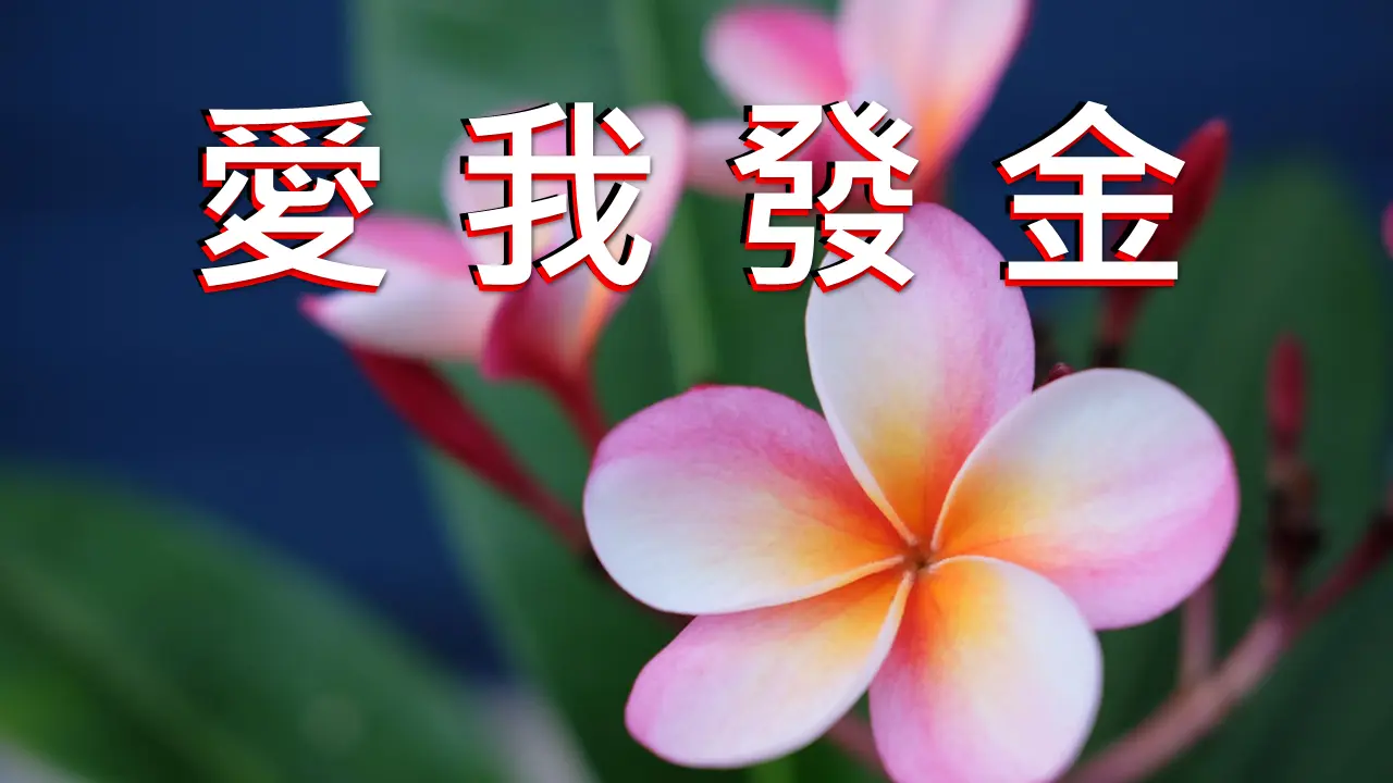 獎品圖片